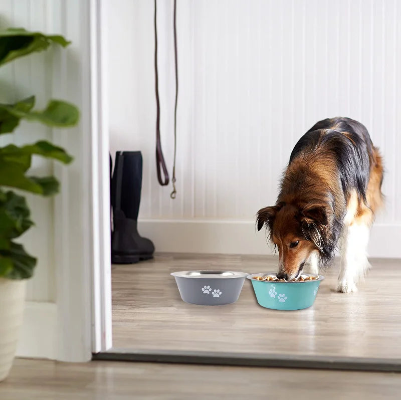 Gamelle en inox pour chien | SteadyBowl™