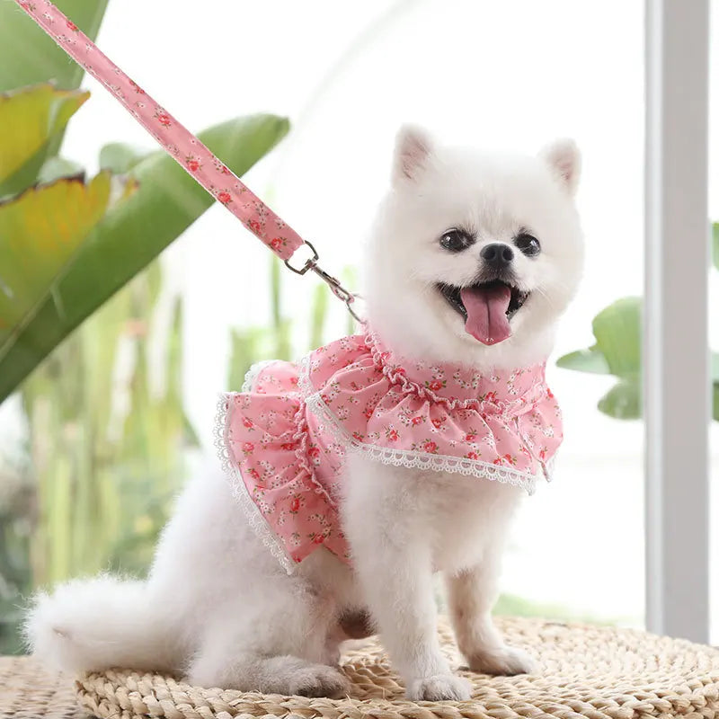 Harnais petit chien | ChicWalk™