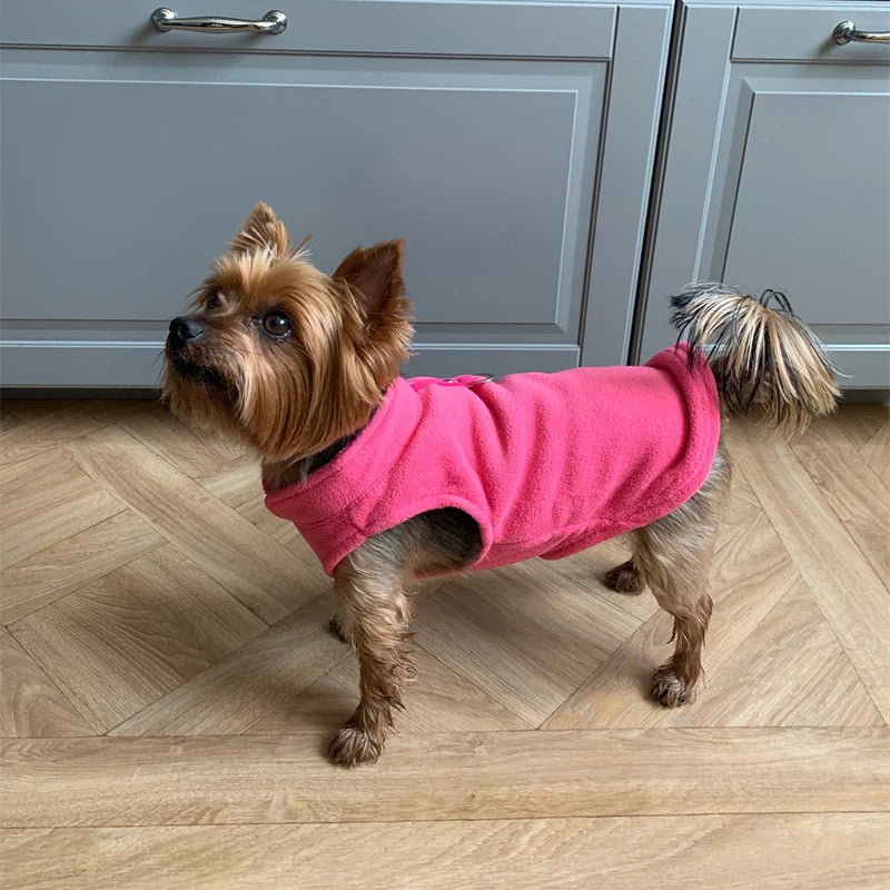 Manteau pour chien | CozyCanin™