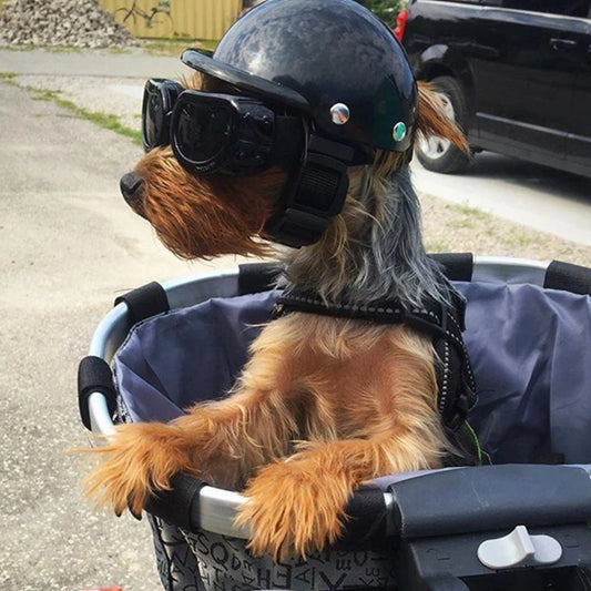 Casque moto pour chien | WoofHelmet™