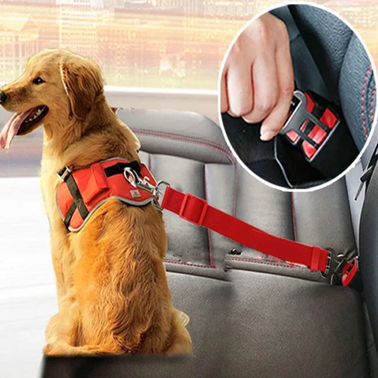 Ceinture de sécurité pour chien | DriveGuard™