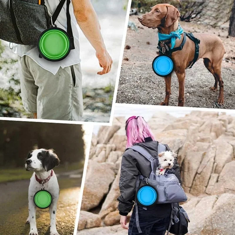 Gamelle pliable pour chien