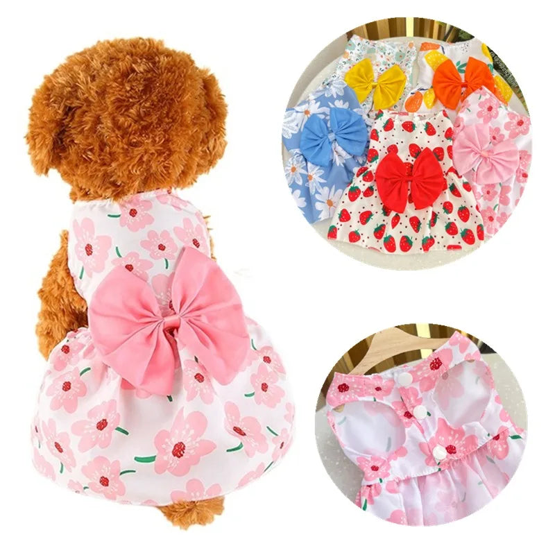 Robe pour chien | DivaDress™