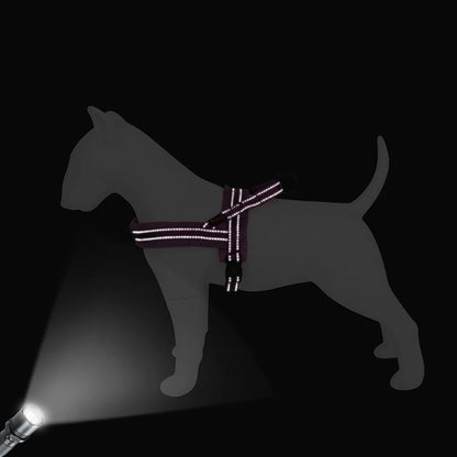 Harnais chien | ErgoCanin™
