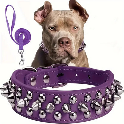 Collier pour chien | IronFangg™