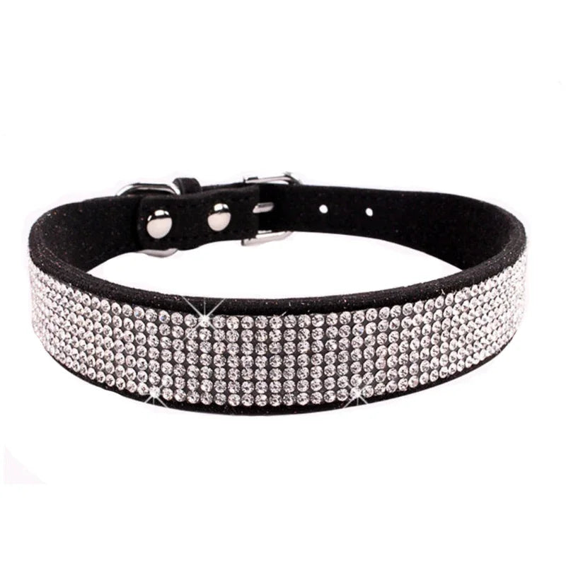 Collier pour chien  | CaniLuxe™