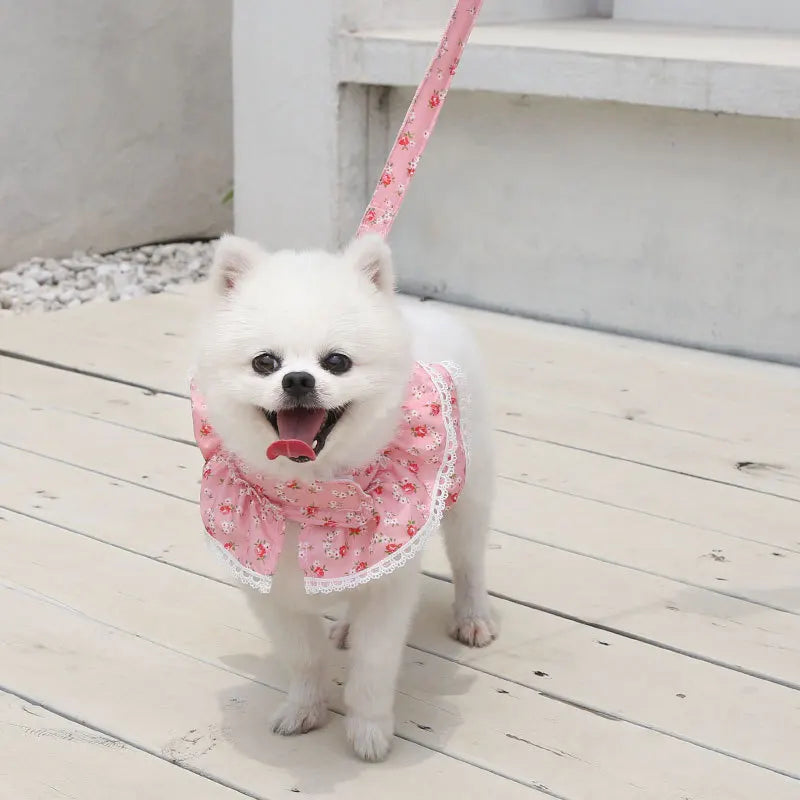 Harnais petit chien | ChicWalk™