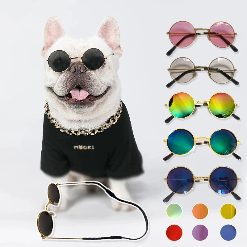 Lunettes pour chien | RetroPup™