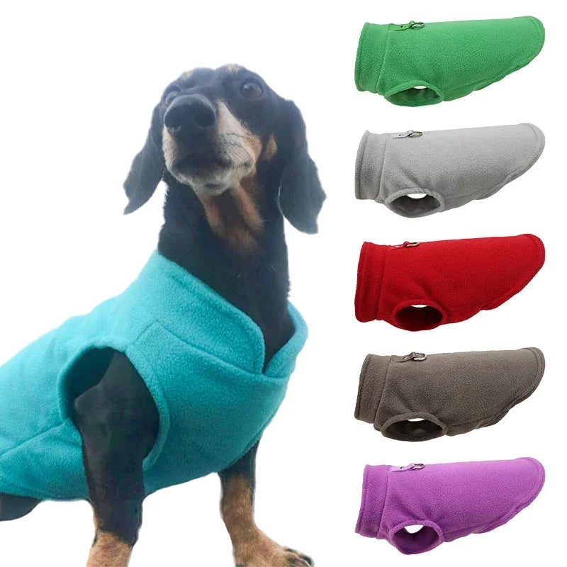 Manteau pour chien | CozyCanin™