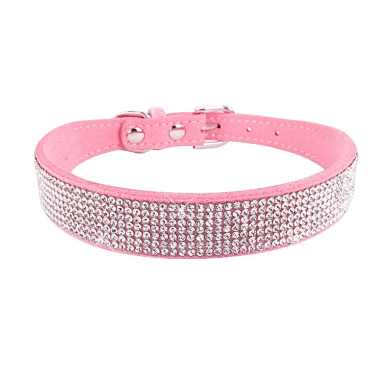 Collier pour chien  | CaniLuxe™