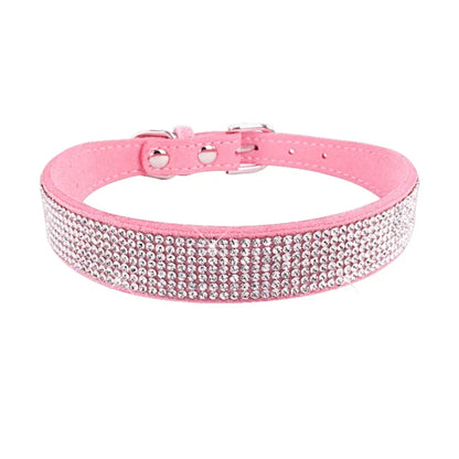 Collier pour chien  | CaniLuxe™
