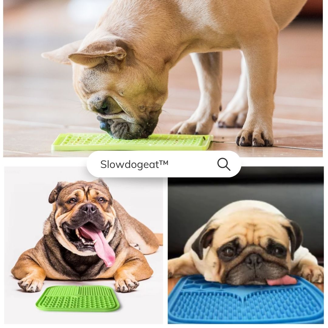 Tapis de lechage chien | Slowdogeat™