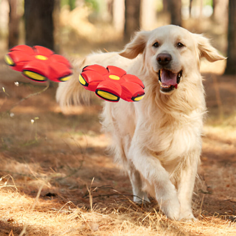 balle-pour-chien-rouge