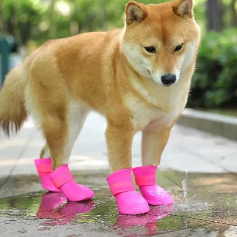 bottes de pluie pour chien