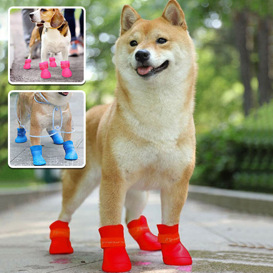 Bottes pour chien | DryFet™