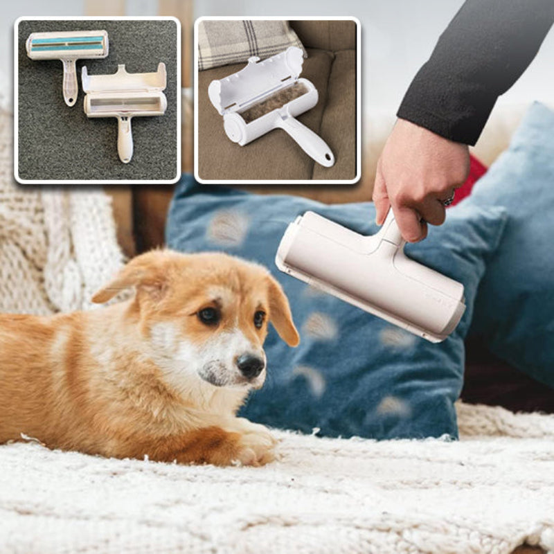 brosse-anti-poils-chien