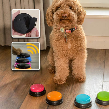 buzzer-chien-apprentissage