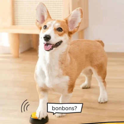 buzzer-chien-jaune