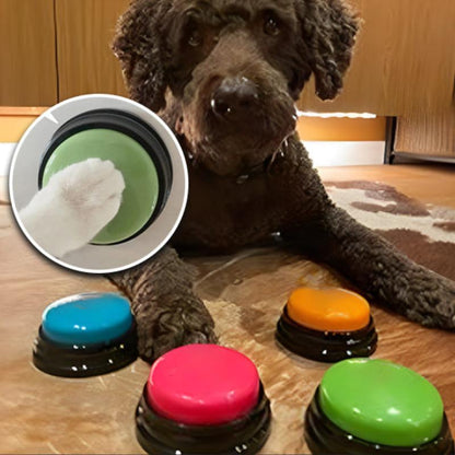 buzzer-chien-quatre