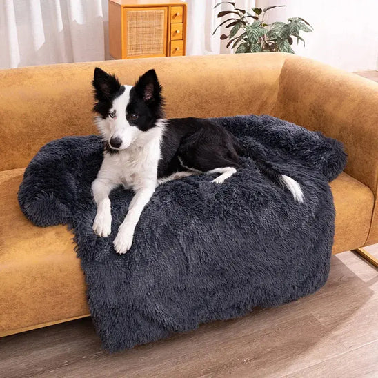 Canapé pour chien | SofSafe™