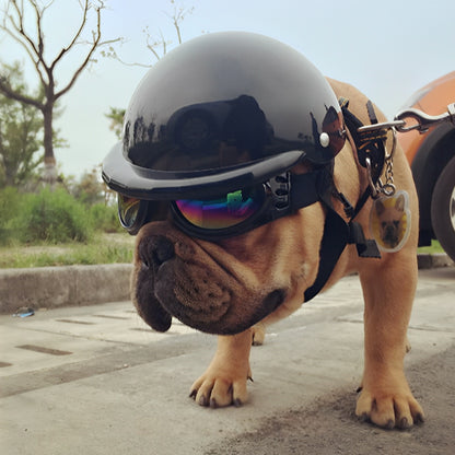 Casque moto pour chien | WoofHelmet™