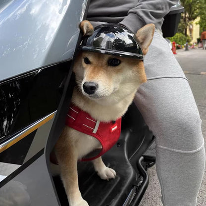Casque moto pour chien | WoofHelmet™