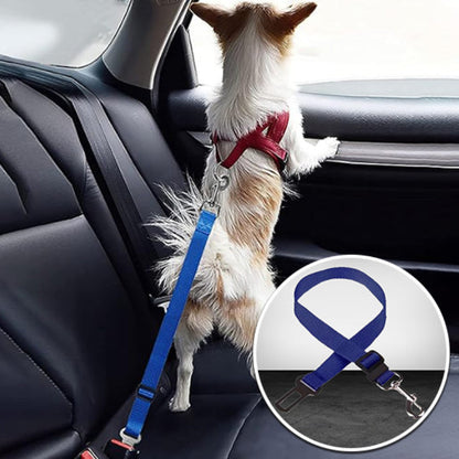 petit chien avec ceinture de securite bleue
