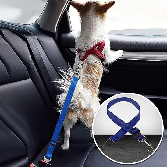 Ceinture de sécurité pour chien | DriveGuard™