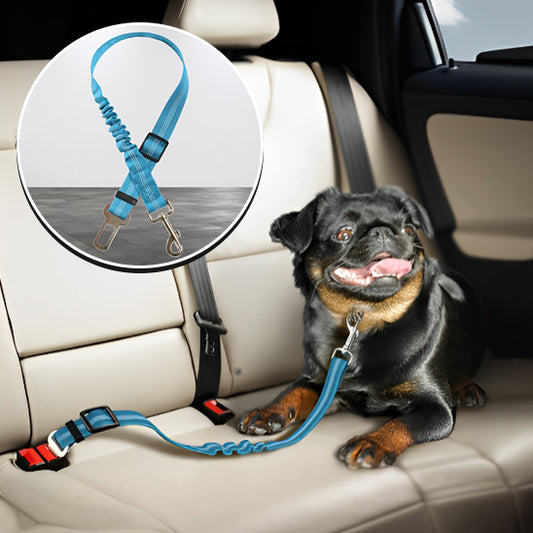 Ceinture pour chien en voiture | WagSafe™