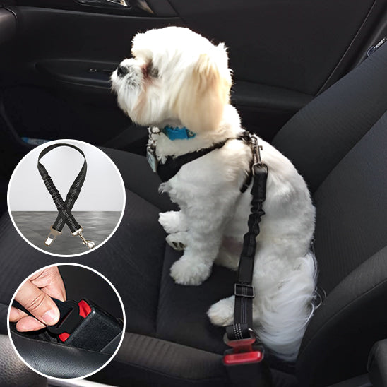 Ceinture pour chien en voiture | WagSafe™