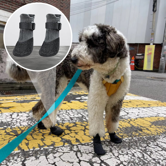 Chaussette pour chien | SafeStep™