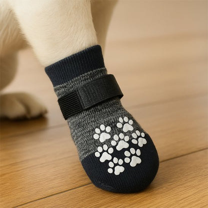 Chaussettes pour chien