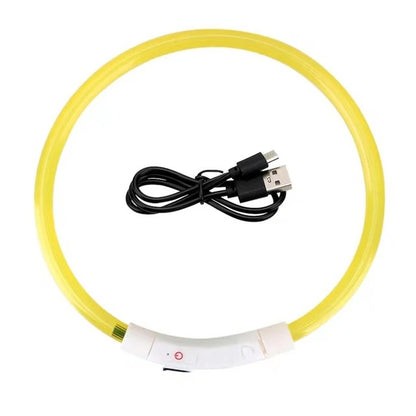 Collier lumineux chien | NightShine™