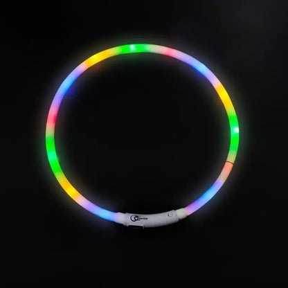 Collier lumineux chien | NightShine™