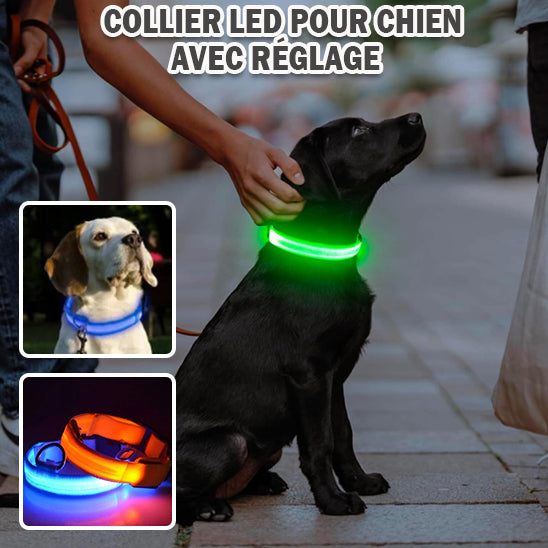 Collier lumineux pour chien | ShinePaw™