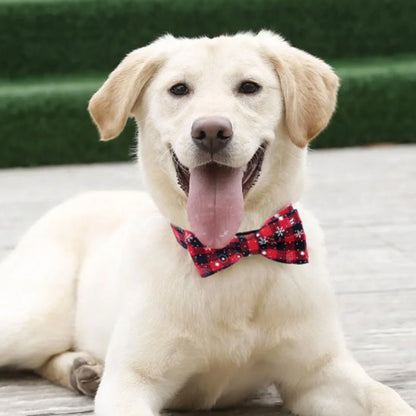 collier-pour-chien-festif-rouge