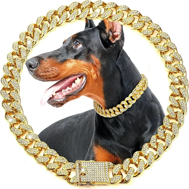 Collier pour chien luxe | Chaingold™