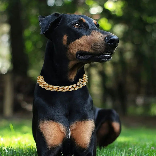 Collier pour chien luxe | Chaingold™