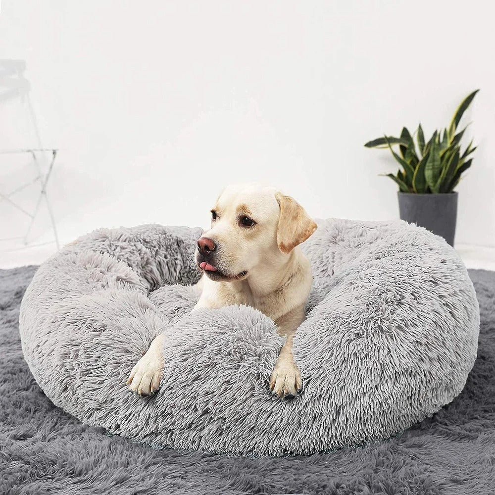 coussin-chien-gris