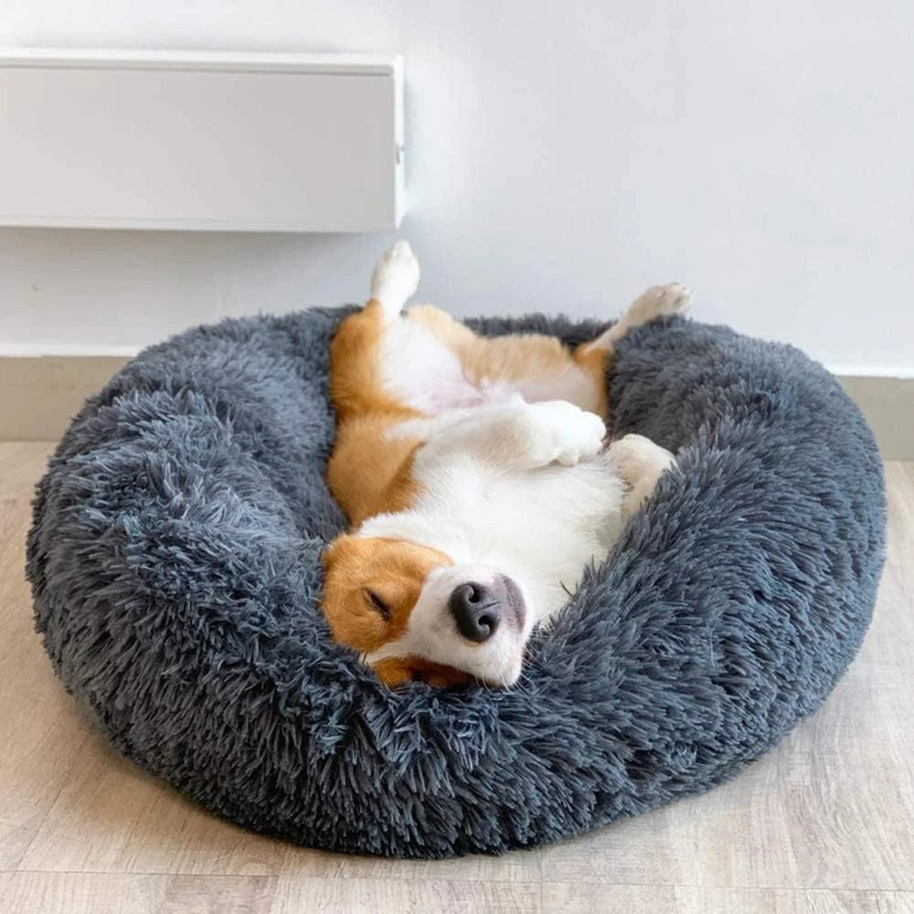 Coussin pour chien | BaRond™