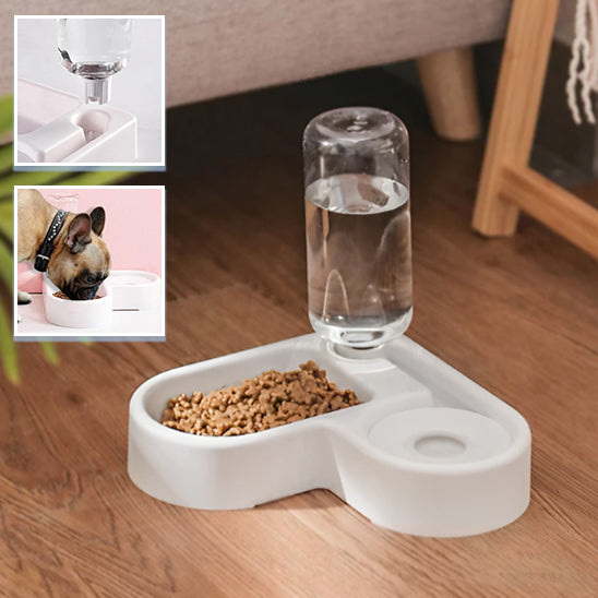 Distributeur d'eau pour chien | FreshTail™