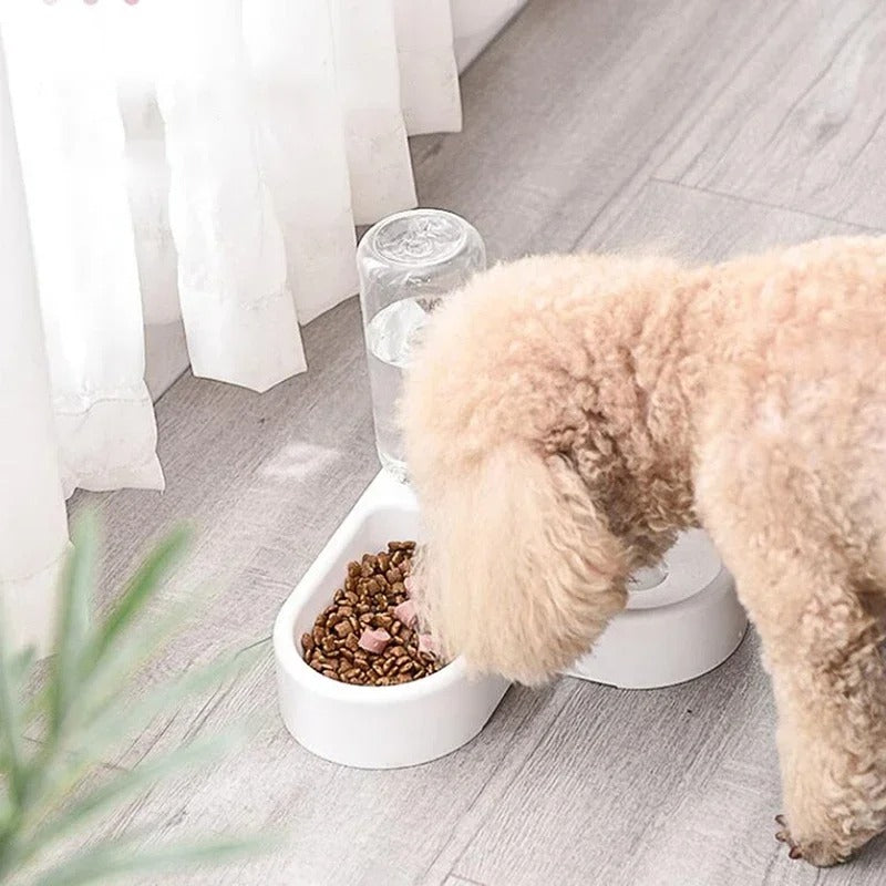 Distributeur d'eau pour chien | FreshTail™