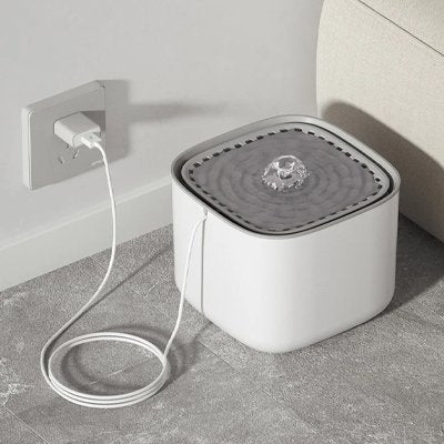 Fontaine a eau Chien électrique