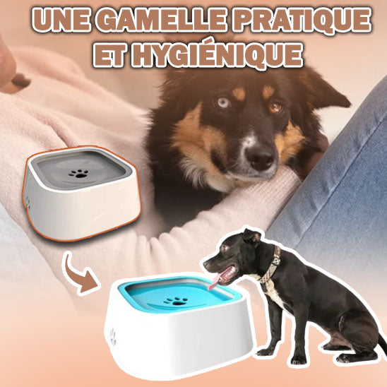 gamelle-anti-eclaboussure-pratique