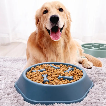 chien derripre une gamelle anti glouton-bleue