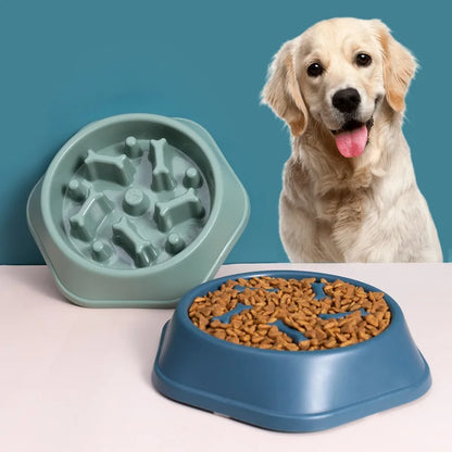 golden avec deux gamelles anti-glouton pour chien