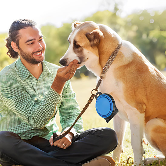 Gamelle pliable pour chien | GoBowl™