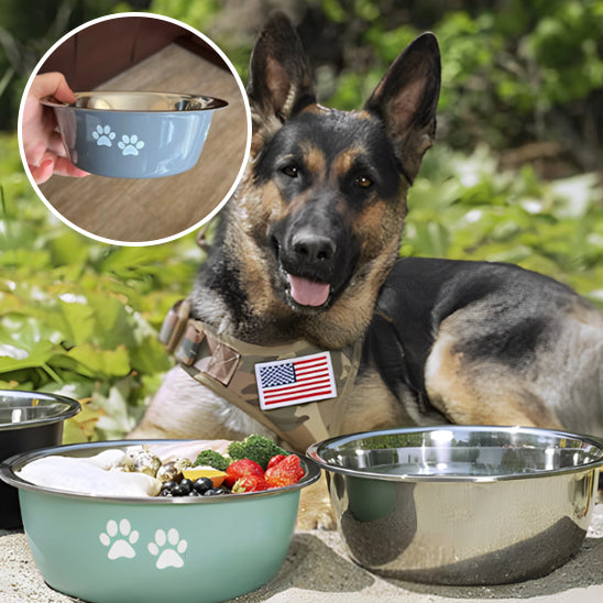 Gamelle en inox pour chien | SteadyBowl™