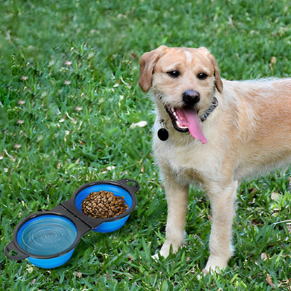 chien dehors avec une gamelle pliable bleue