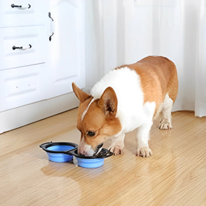chien qui mange dans un bol pliable bleu